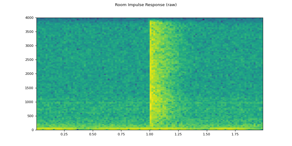 Room Impulse Response (raw)